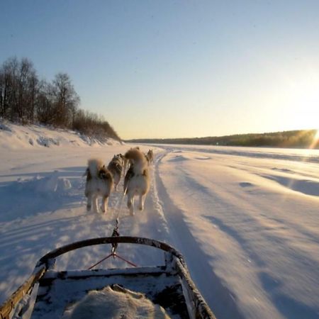 Arctic Home Rovaniemi Kültér fotó
