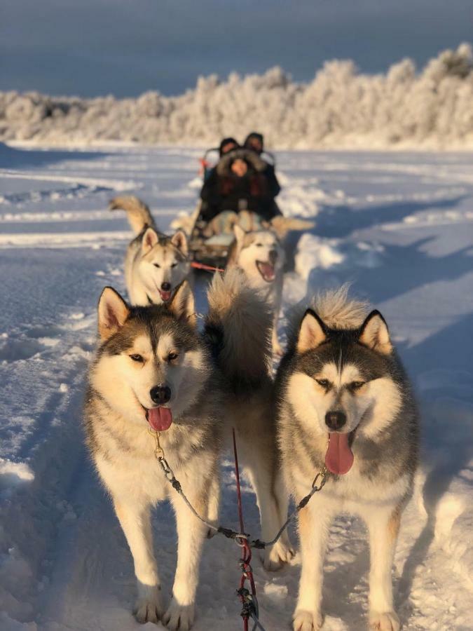 Arctic Home Rovaniemi Kültér fotó