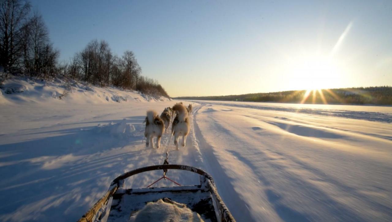 Arctic Home Rovaniemi Kültér fotó